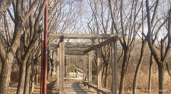 北胶新河湿地公园