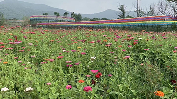 宜兴空中玻璃漂流景区