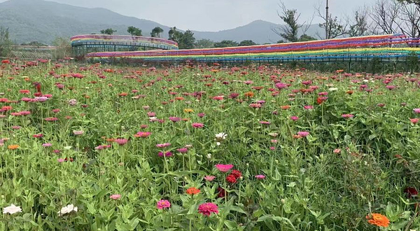 宜兴空中玻璃漂流景区