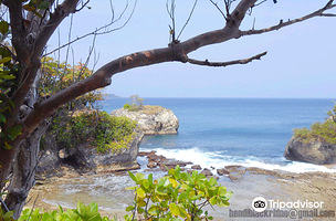 马戎格库龙国家公园