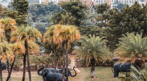 澜沧江音乐喷泉广场