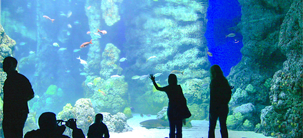 丹佛市区水族馆