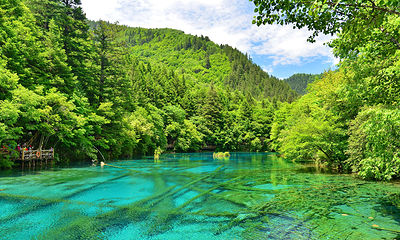 九寨沟风景区第 48 张图片