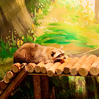 卡萌动物公园(万达广场濮阳店)