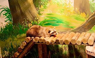 卡萌动物公园(万达广场濮阳店)