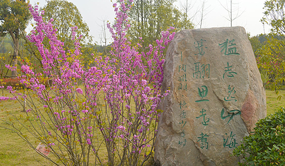 九真桃源第 48 张图片