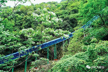 浙北大峡谷第 36 张图片