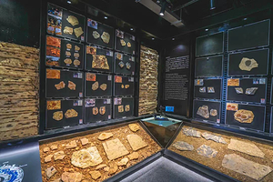 猛犸古生物自然科普馆