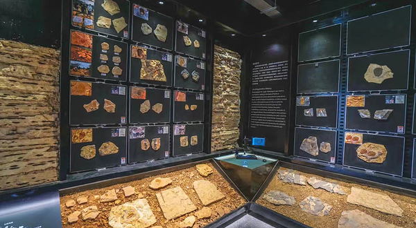 猛犸古生物自然科普馆