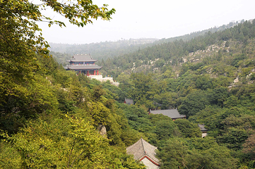 冠世榴园青檀景区第 23 张图片