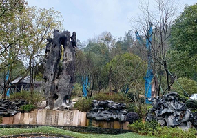 黄龙城市森林公园