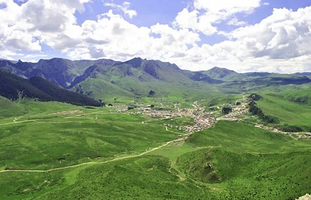 甘南高原植物园