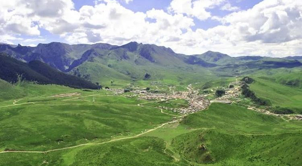 甘南高原植物园