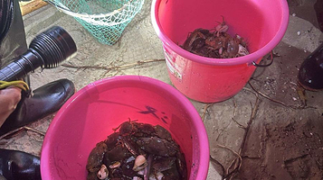 晴天赶海俱乐部