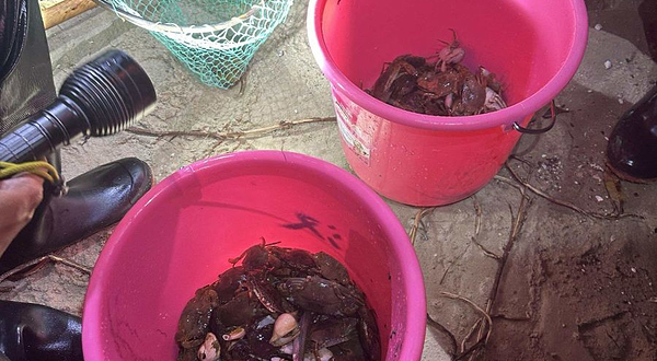 晴天赶海俱乐部