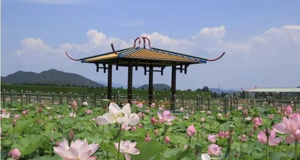 密云和园景区