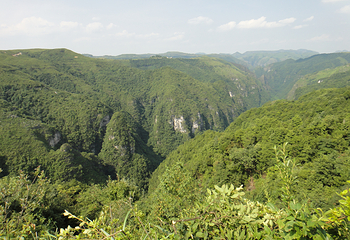 贵州龙里大草原景区第 51 张图片