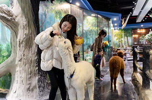 萌巢动物乐园(银隆百货B座店)