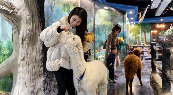 萌巢动物乐园(银隆百货B座店)