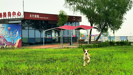 太行山国际滑翔基地第 20 张图片