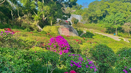 梅海岭第 1 张图片
