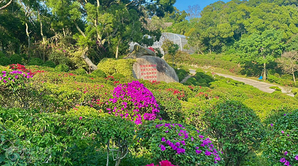 梅海岭第 3 张图片