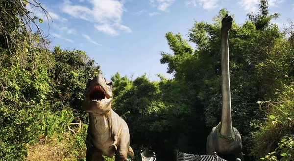 厦门锦仔山生态乐园