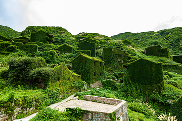 枸杞岛第 10 张图片