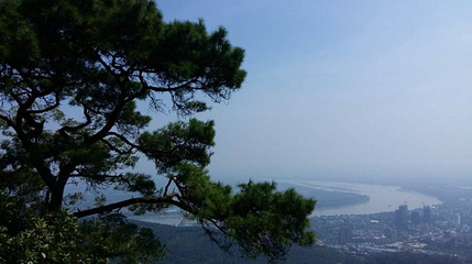 西山森林公园第 1 张图片