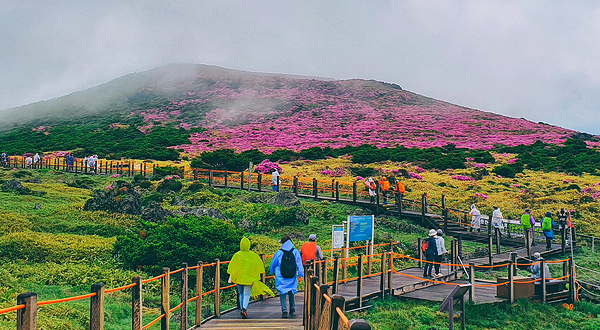 汉拿山国立公园