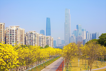 花城广场第 8 张图片