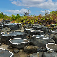 儋州千年古盐田
