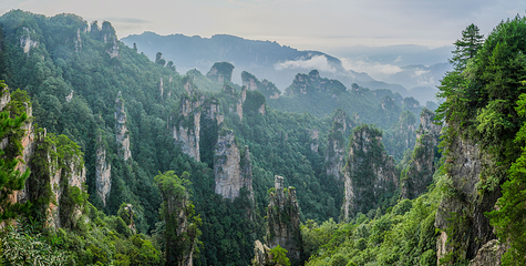 天子山风景区第 58 张图片