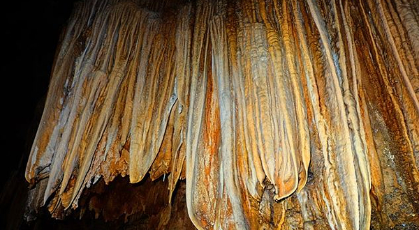 茂兰国家级自然保护区-金狮洞