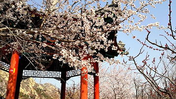 北京凤凰岭景区