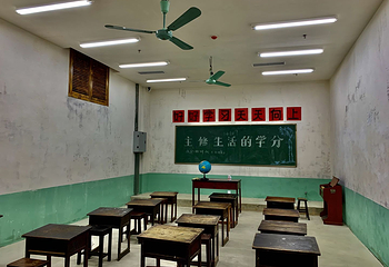 东部新区种子乐园第 37 张图片