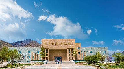 银川世界岩画馆第 1 张图片