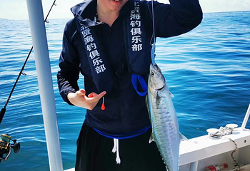 北贤游艇海钓俱乐部第 4 张图片