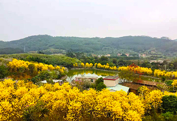 蓝田紫林旅游度假区第 115 张图片