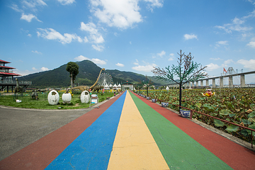 缙云县笕川花海第 5 张图片