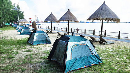 北海金海湾红树林生态旅游区第 7 张图片