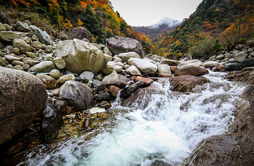 唐家河自然风景区第 1 张图片