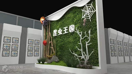 新疆活体昆虫博物馆第 7 张图片
