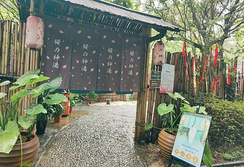 鹤鸣洲温泉第 34 张图片