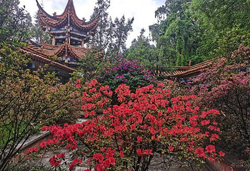 岩泉风景区第 24 张图片