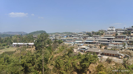 营盘山万亩茶园旅游休闲点第 1 张图片
