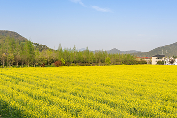 余村第 8 张图片