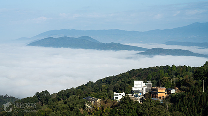 南糯山第 4 张图片