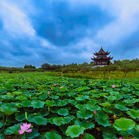 上海海湾国家森林公园