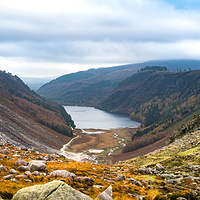 威克洛山脉国家公园